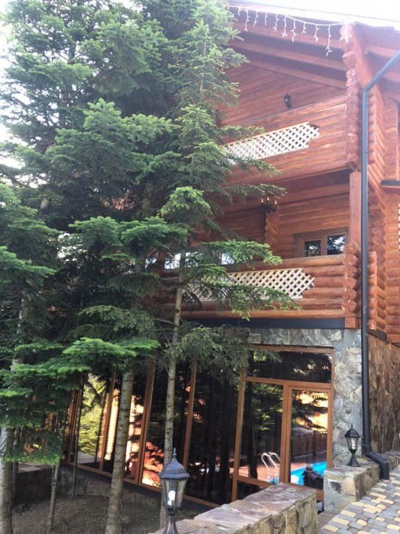 Виллы VIP HOUSES Карпати Мигово Мигово-72